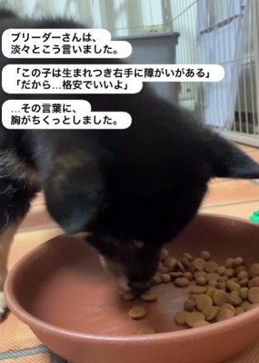 「破格でいいよ」