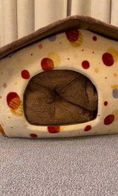 「おやつ」と聞いた文太くんの反応