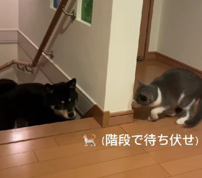 しっかり狙いを定めて…