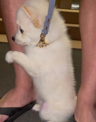 犬生一周目すぎる♡