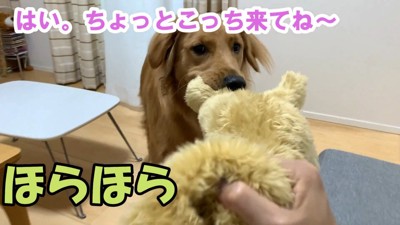 嫉妬するよもぎちゃん7