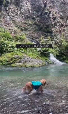 アーロンくんと川遊び中の出来事