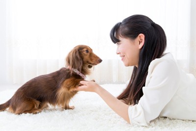 女性をじっと見つめる犬