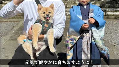 写真を撮る犬と飼い主と男の子