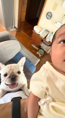 飼い主の足にしがみつく犬