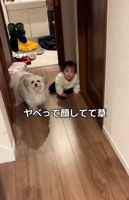 ママに気づいた小太郎くん