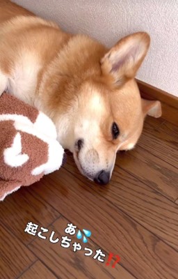 起こしちゃったかな？