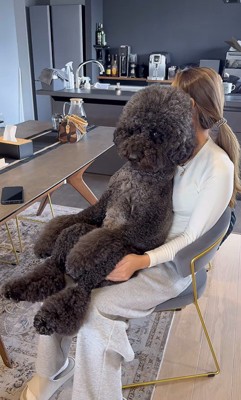 テレビを見るCOCOちゃん2