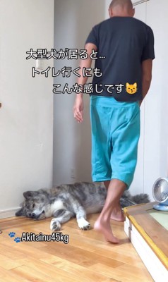 トイレに行きたいパパさんVS虎男くん2