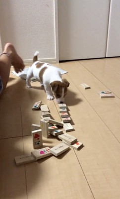 入念に匂いチェック