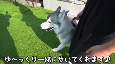 意に介していないもんちゃん