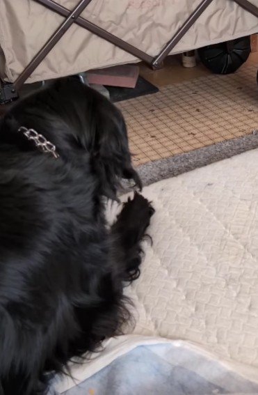 「自分で歩きたい」