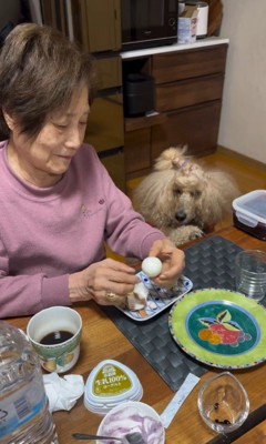 おばあちゃんの朝ご飯を狙うワンコたち