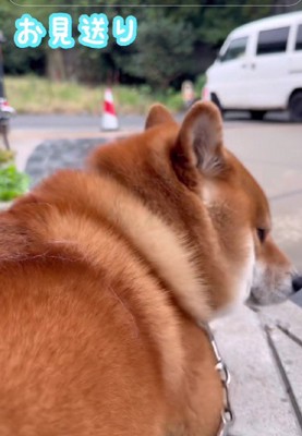 お見送りを欠かさない