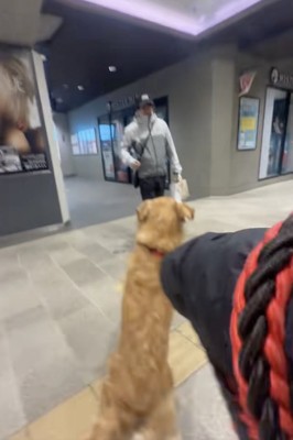 「おかえりぃぃ」