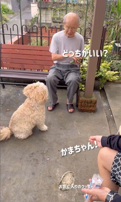 ご近所さんとかまぼこ君8