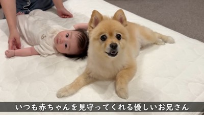 仲良しで微笑ましい♡