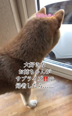 車に気づいた朔くん