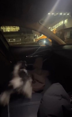 目にも止まらぬ速さで駆け出す