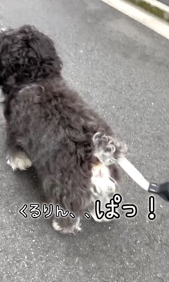 綱吉くんを止める方法6