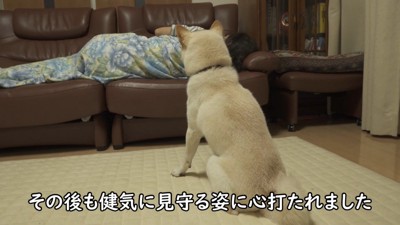 健気に見守り続けるノンくん