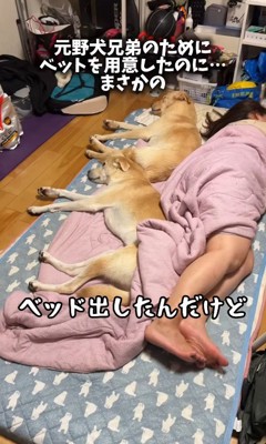 ベッドへの移動を促すと…
