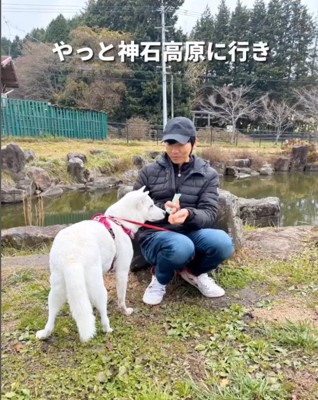 安倍さんと再会するマナちゃん