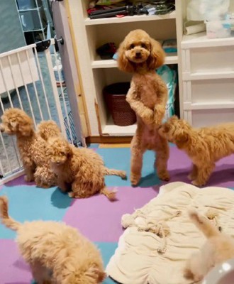 「そこにおったんか！」