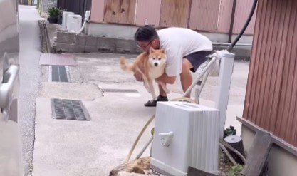 後追いする姿に…