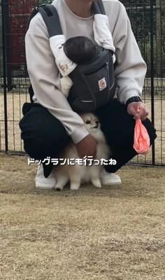 ドッグランで遊ぶ赤ちゃんと小型犬