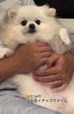 甘え上手なごまちゃんでした♡