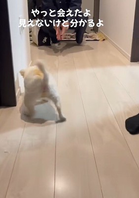 お兄ちゃんの気配が近付く