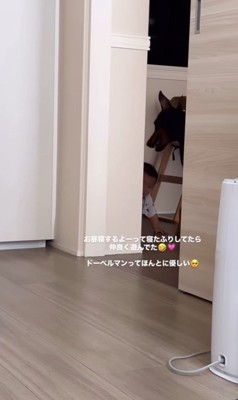 赤ちゃんと遊ぶリーベちゃん3