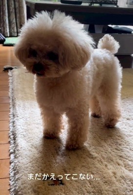 「まだかなあ…」