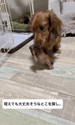 まさかのあんよに決定