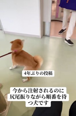 興奮するみなみちゃん