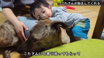 雷を怖がるりゅうさん＆励ます家族6