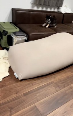 ソファの上を走るきびくん