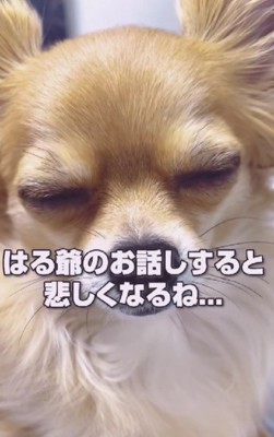 「悲しくなるね」