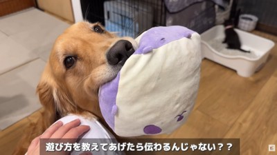 「どうやったら仲良くなれる?」