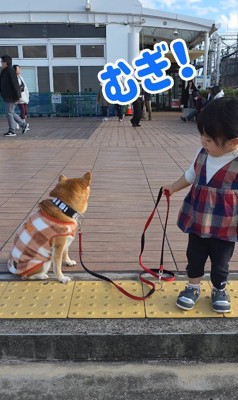 容赦ないむぎちゃんにクスッ