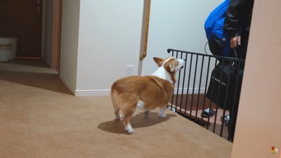 玄関でお見送り