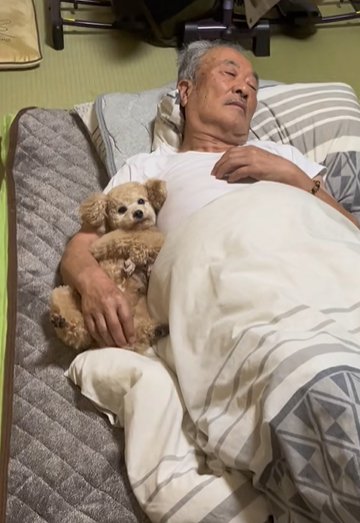 布団の上で添い寝する男性とトイプードル