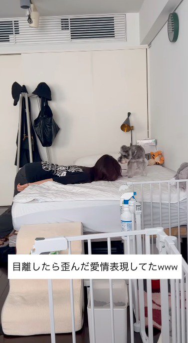 ベッドの上にいる犬に這い寄る女性