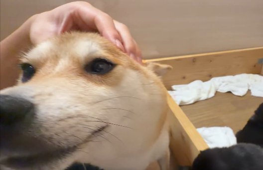 無邪気