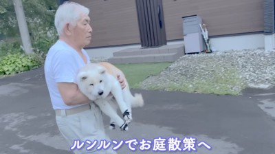 おじいちゃんに抱っこされて、庭を散歩する老犬