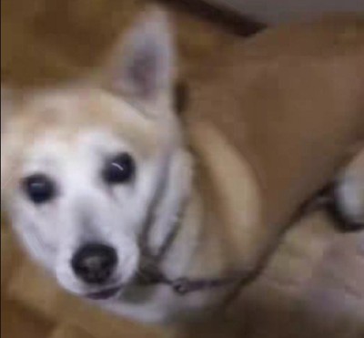 目を見開いて驚愕!!