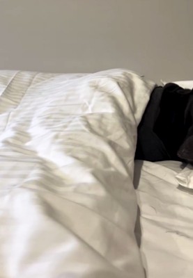 布団に入っている犬