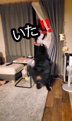 お姉ちゃんが帰省した時の眞秋くん8