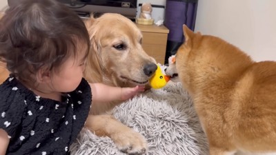 みんなでおもちゃで遊ぶ♪